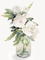Image Not Available